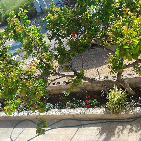 Casa Di Rosa Apartman Chia Kültér fotó